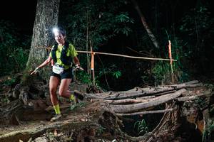 BIB: 
                            <button type="button" onclick="openModal(27371899)" class="btn btn-primary btn-sm float-right btn-popup" data-toggle="modal" data-target=".modal-high-quality">
                        <i class="fas fa-shopping-cart"></i> Add to Cart
                    </button>
                                            <button type="button" onclick="isThisMe(27371899, true)" class="btn btn-success btn-sm float-right btn-popup btn-isme hidden" data-toggle="tooltip" data-placement="bottom" title="นี่คือรูปของคุณใช่ไหม คลิกที่นี่เพื่อเอาเข้าอัลบั้ม">
                        <i class="fas fa-plus"></i> Add to album
                    </button>
                    <button type="button" onclick="isThisMe(27371899, false)" class="btn btn-warning btn-sm float-right btn-popup btn-isnotme hidden">
                        <i class="fas fa-ban"></i> Remove from album
                    </button>